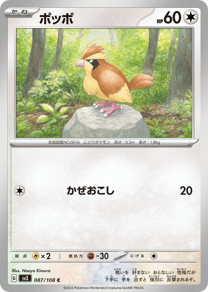 ポッポ