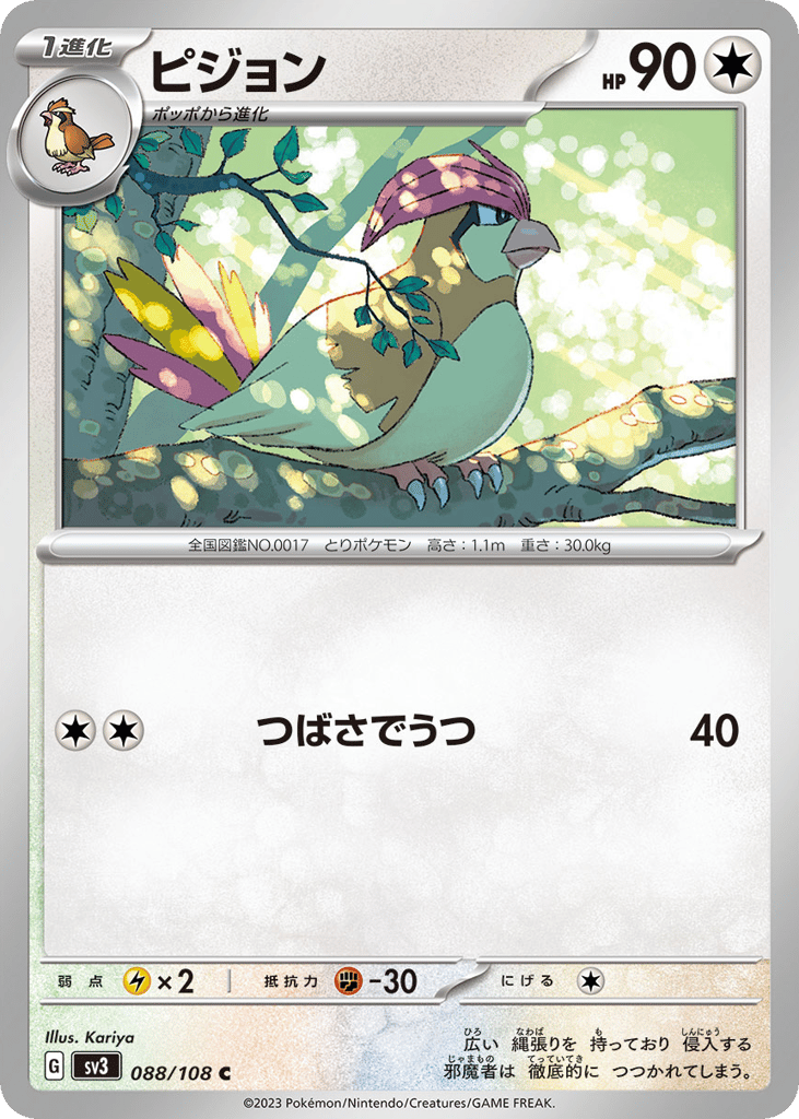 ピジョン