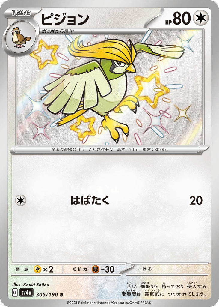 ピジョン