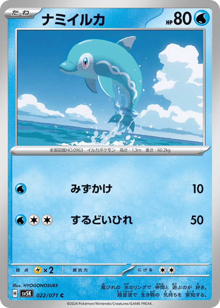 ナミイルカ