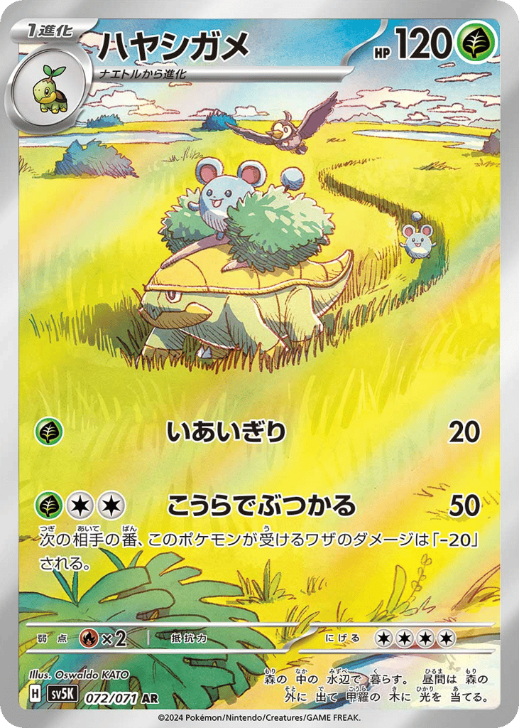 ハヤシガメ