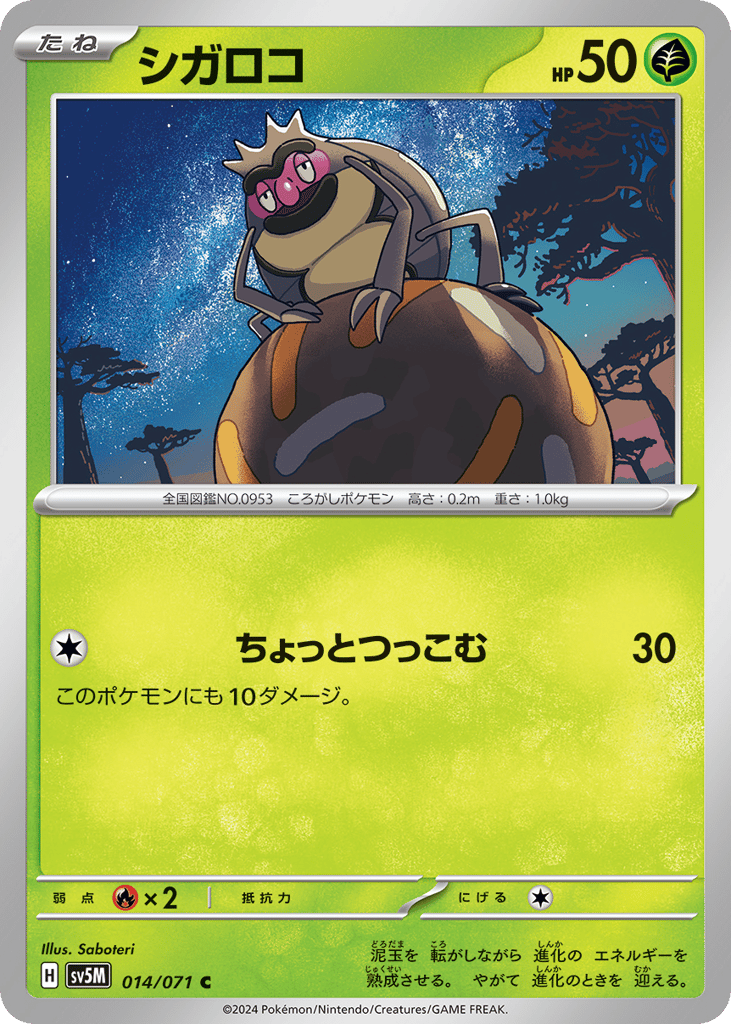 シガロコ
