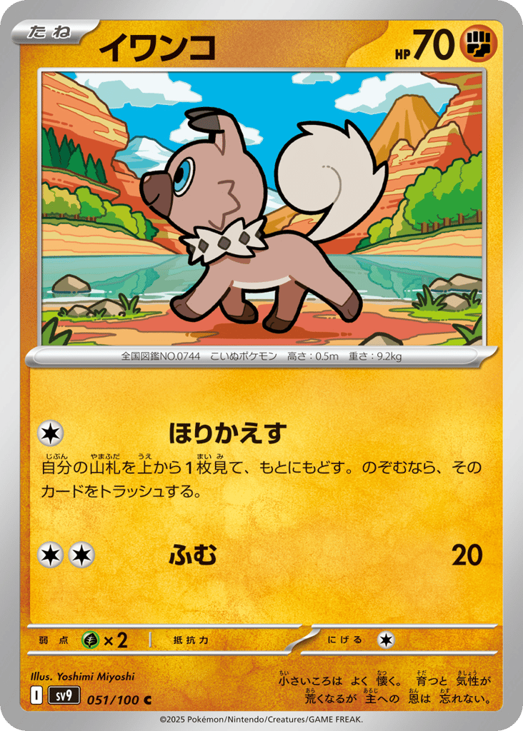 イワンコ
