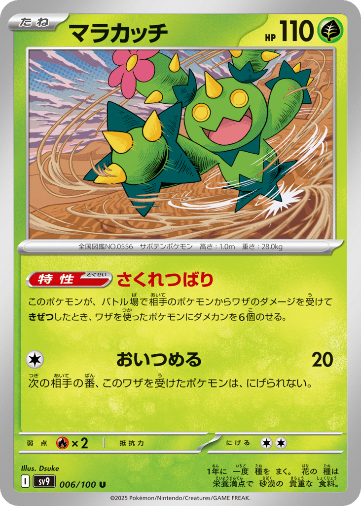 マラカッチ
