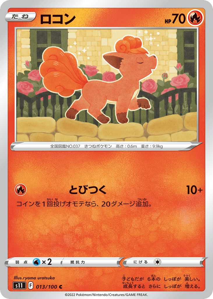ロコン