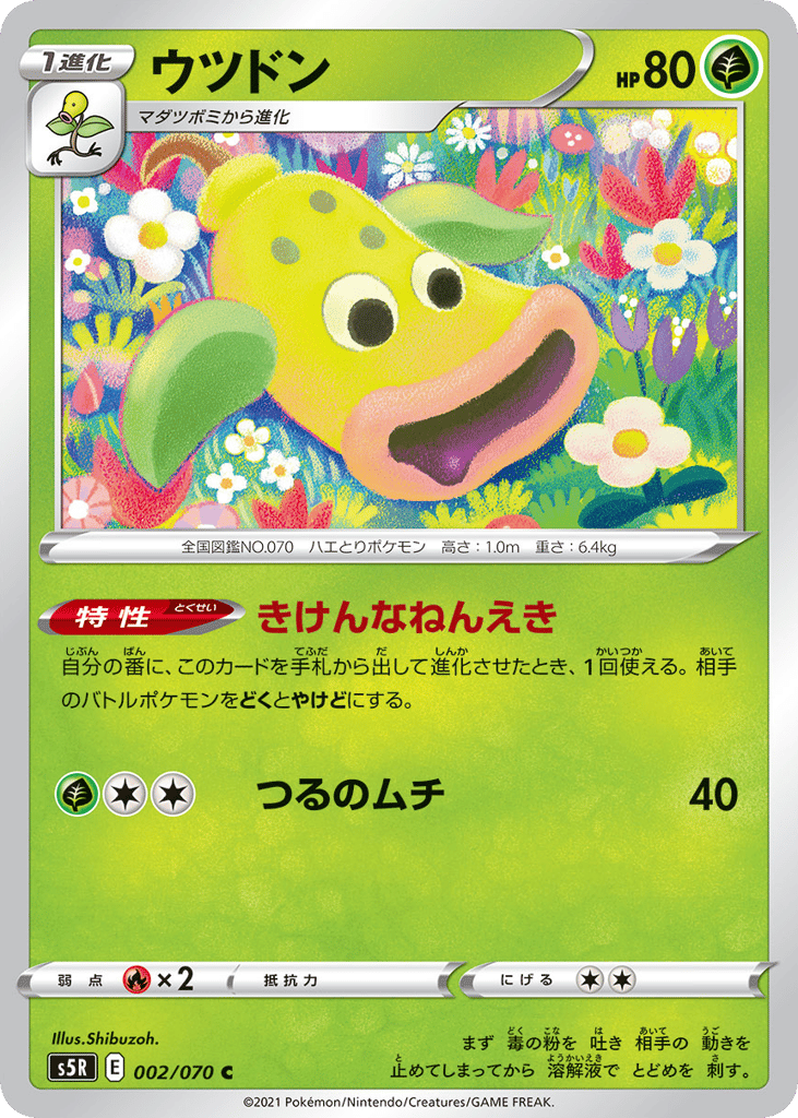 ウツドン