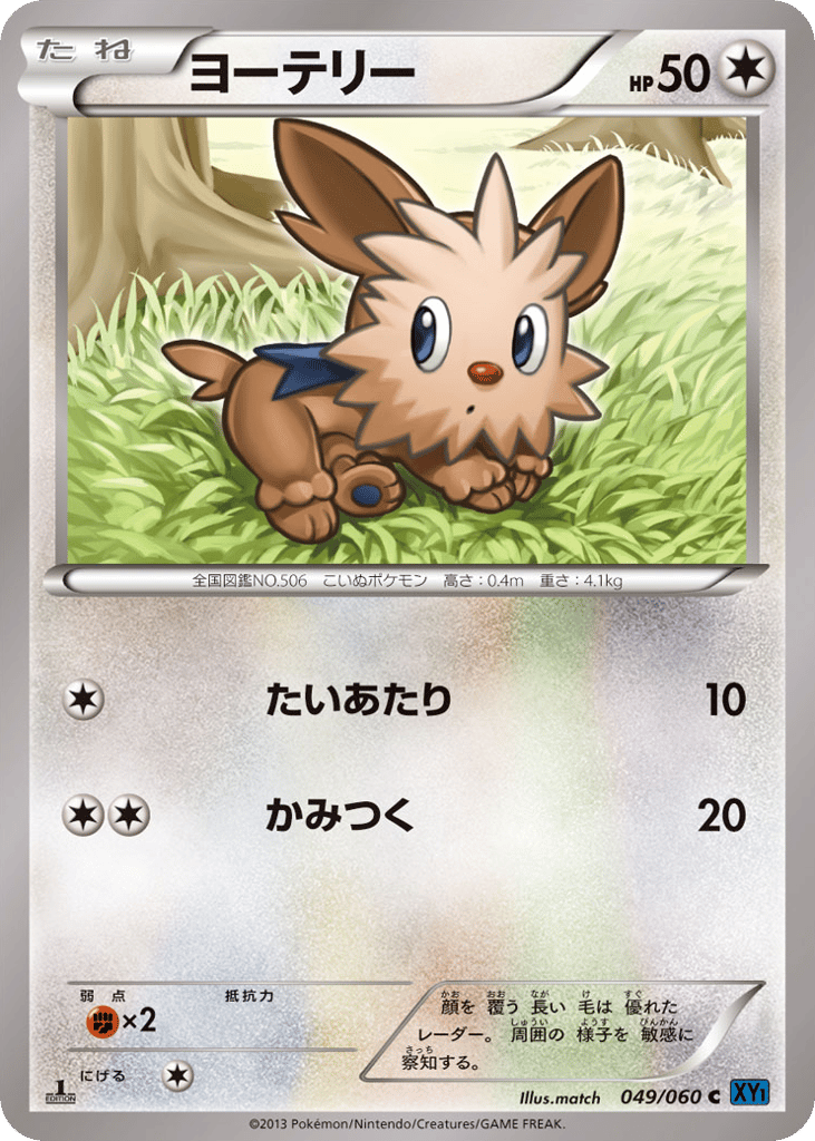 ヨーテリー