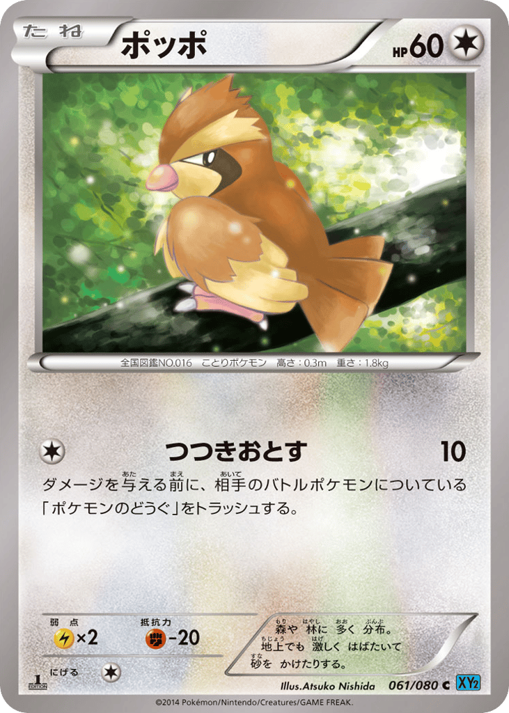 ポッポ