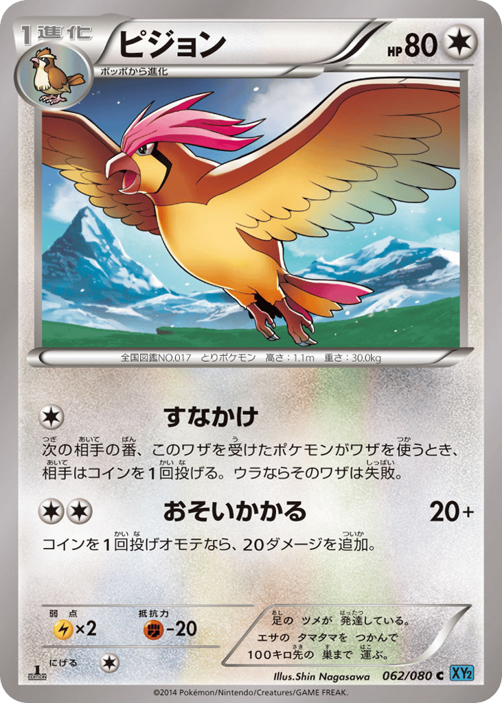 ピジョン