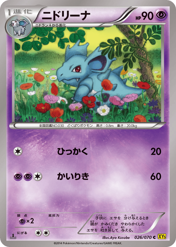ニドリーナ