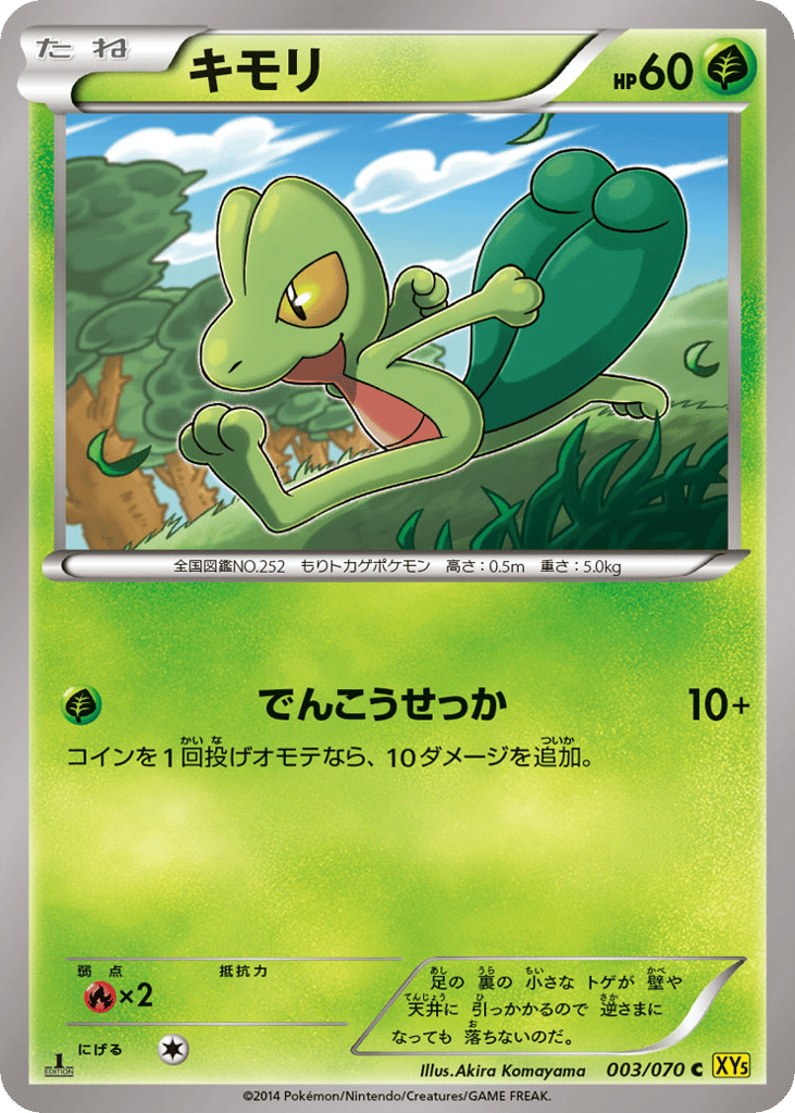 キモリ