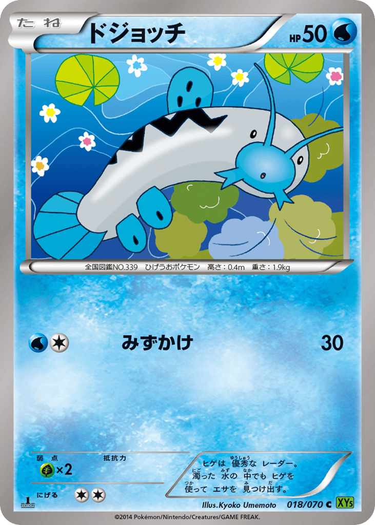 ドジョッチ