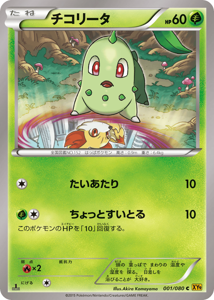 チコリータ