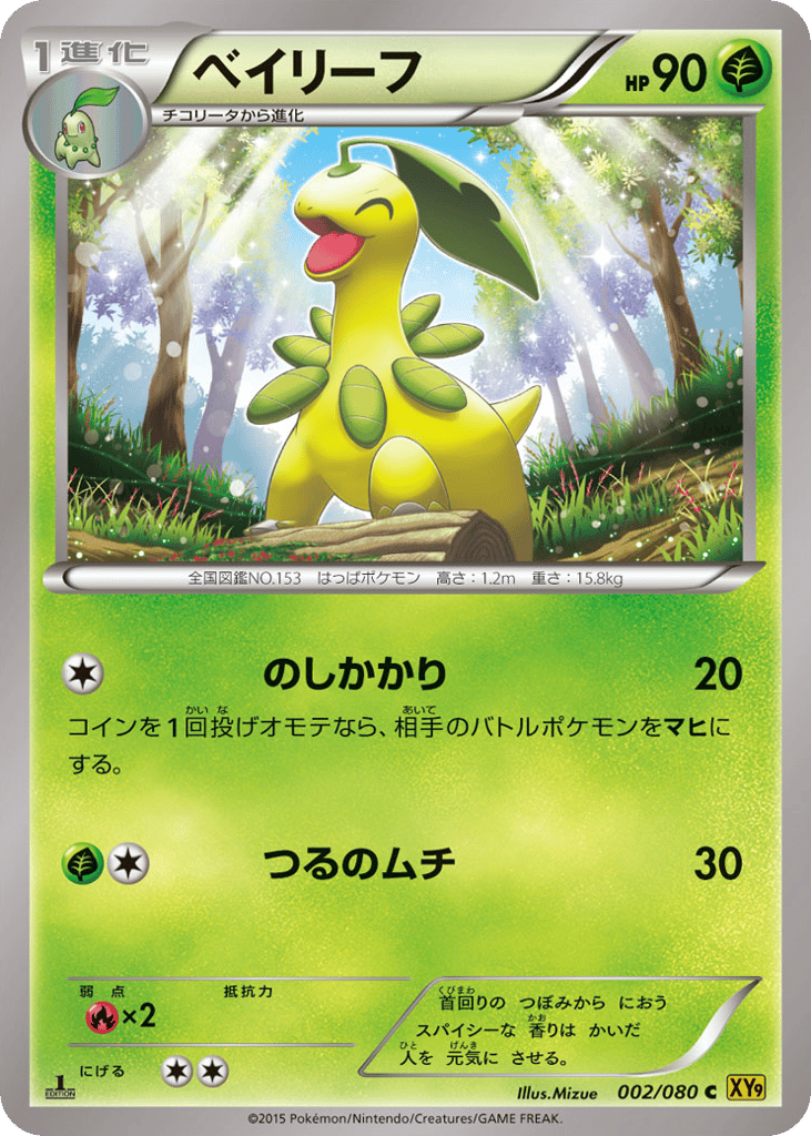ベイリーフ