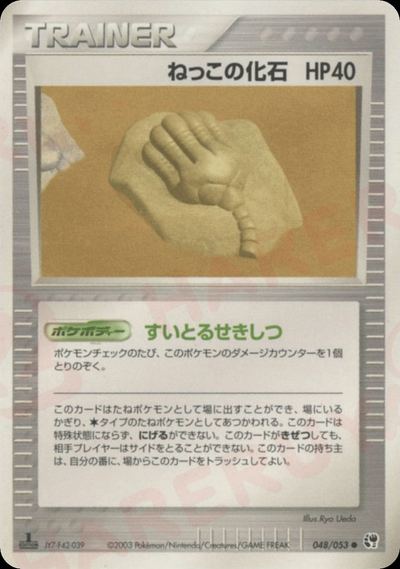 ねっこの化石