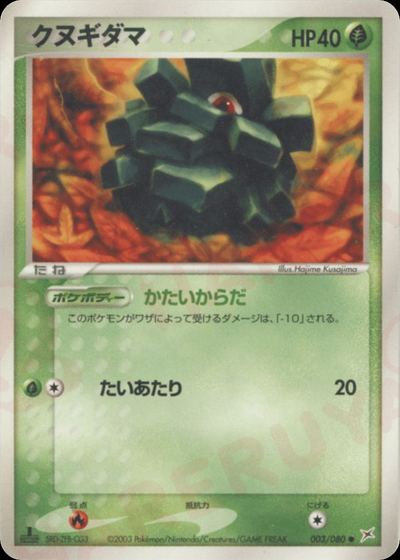 クヌギダマ