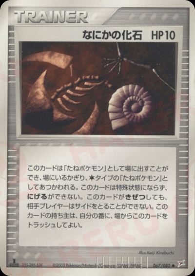 なにかの化石