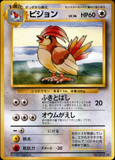 ピジョン