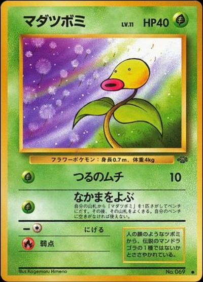 マダツボミ