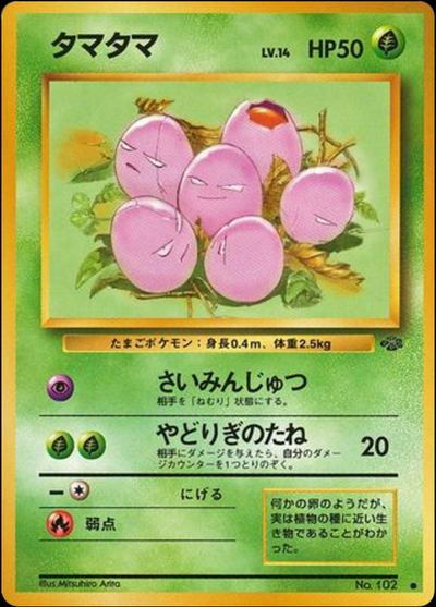 タマタマ