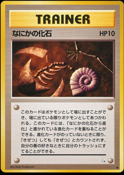 Mysterious Fossil