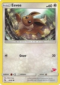 Eevee - Charizard 26
