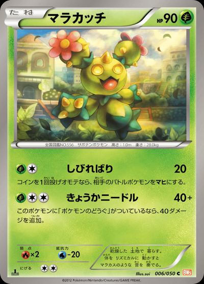 Maractus
