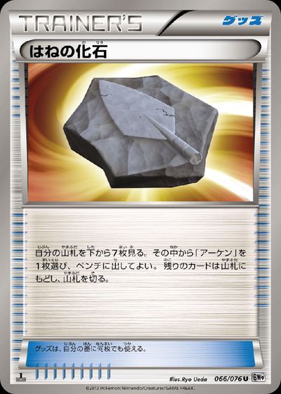 はねの化石