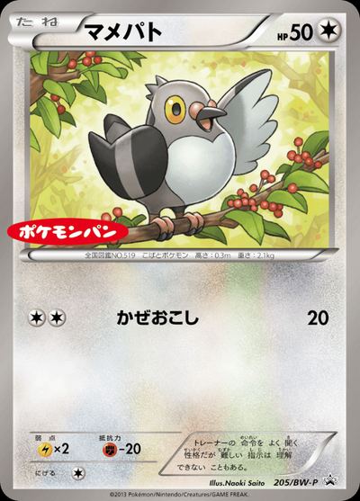 マメパト