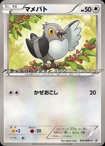 マメパト