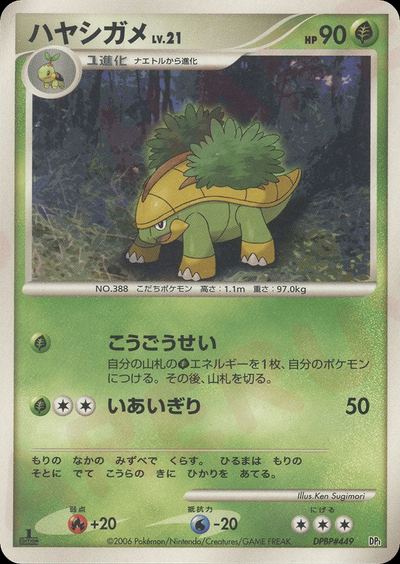 ハヤシガメ