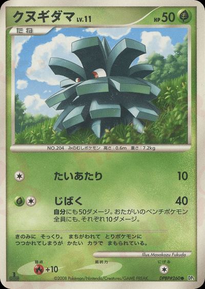 クヌギダマ