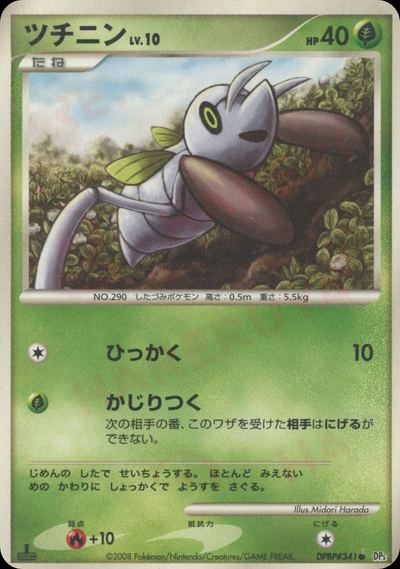 ツチニン