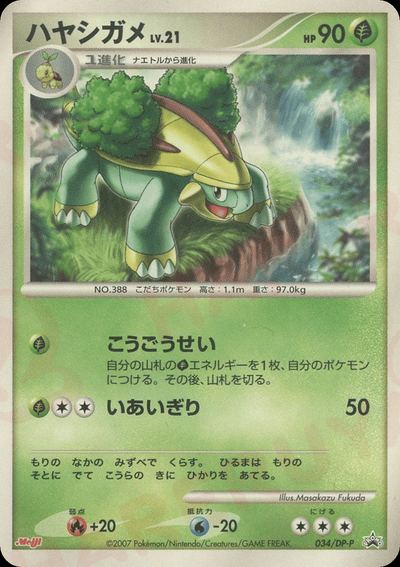 ハヤシガメ