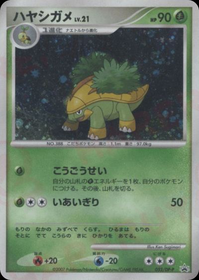 ハヤシガメ