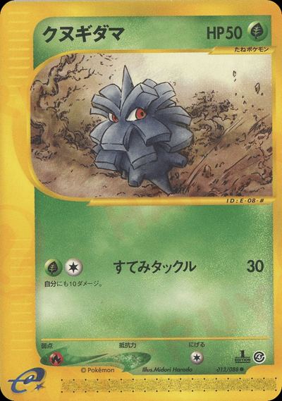 クヌギダマ