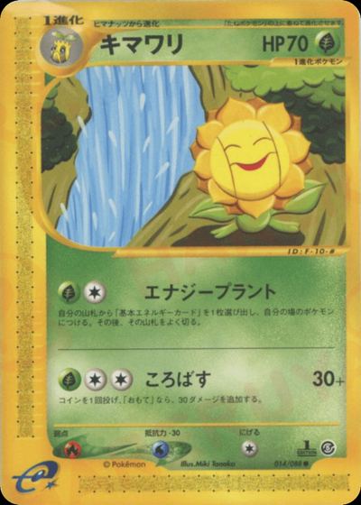 キマワリ