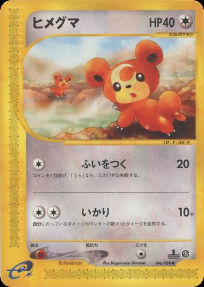 ヒメグマ
