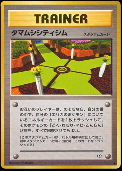 Celadon City Gym