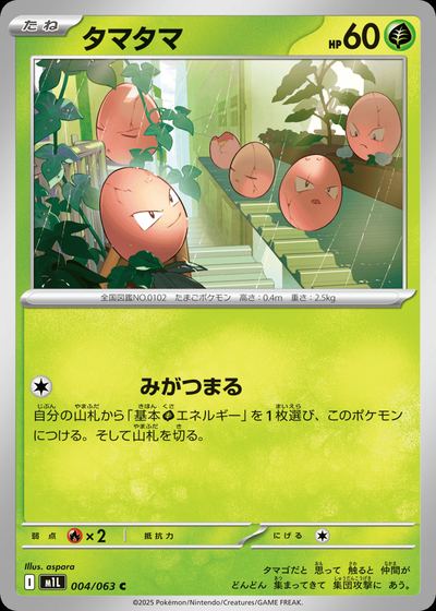 タマタマ