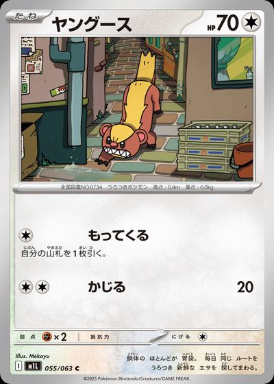 ヤングース
