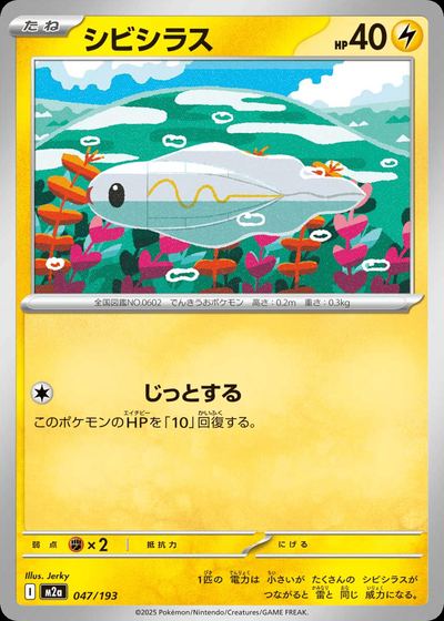 シビシラス