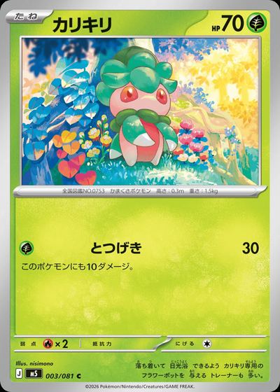 カリキリ