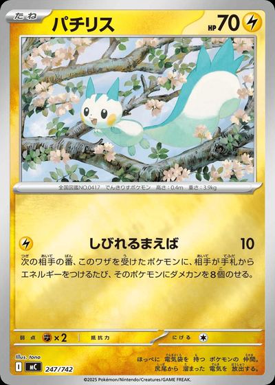 パチリス