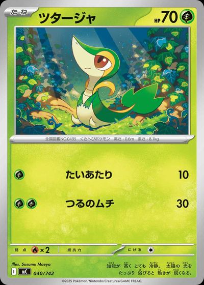ツタージャ