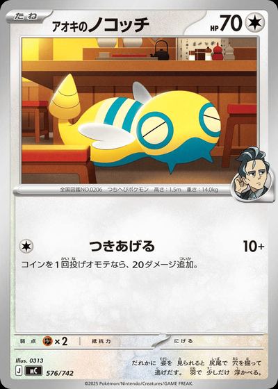アオキのノコッチ