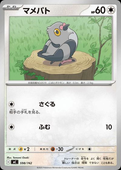 マメパト