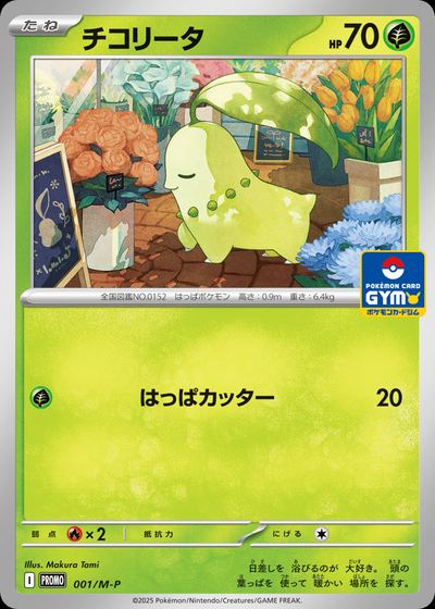 チコリータ