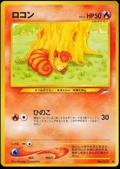 ロコン