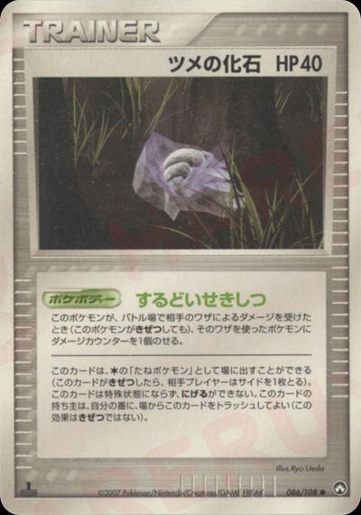 ツメの化石